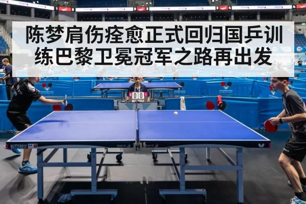table tennis competition